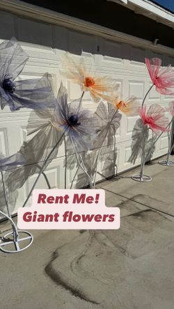 Giant Flowers