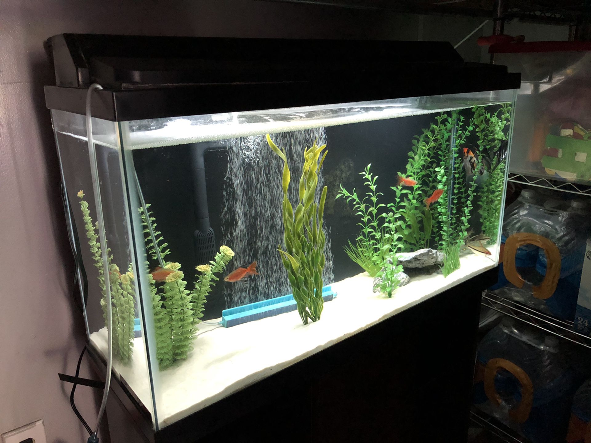40 Gallon Fish Tank with Stand