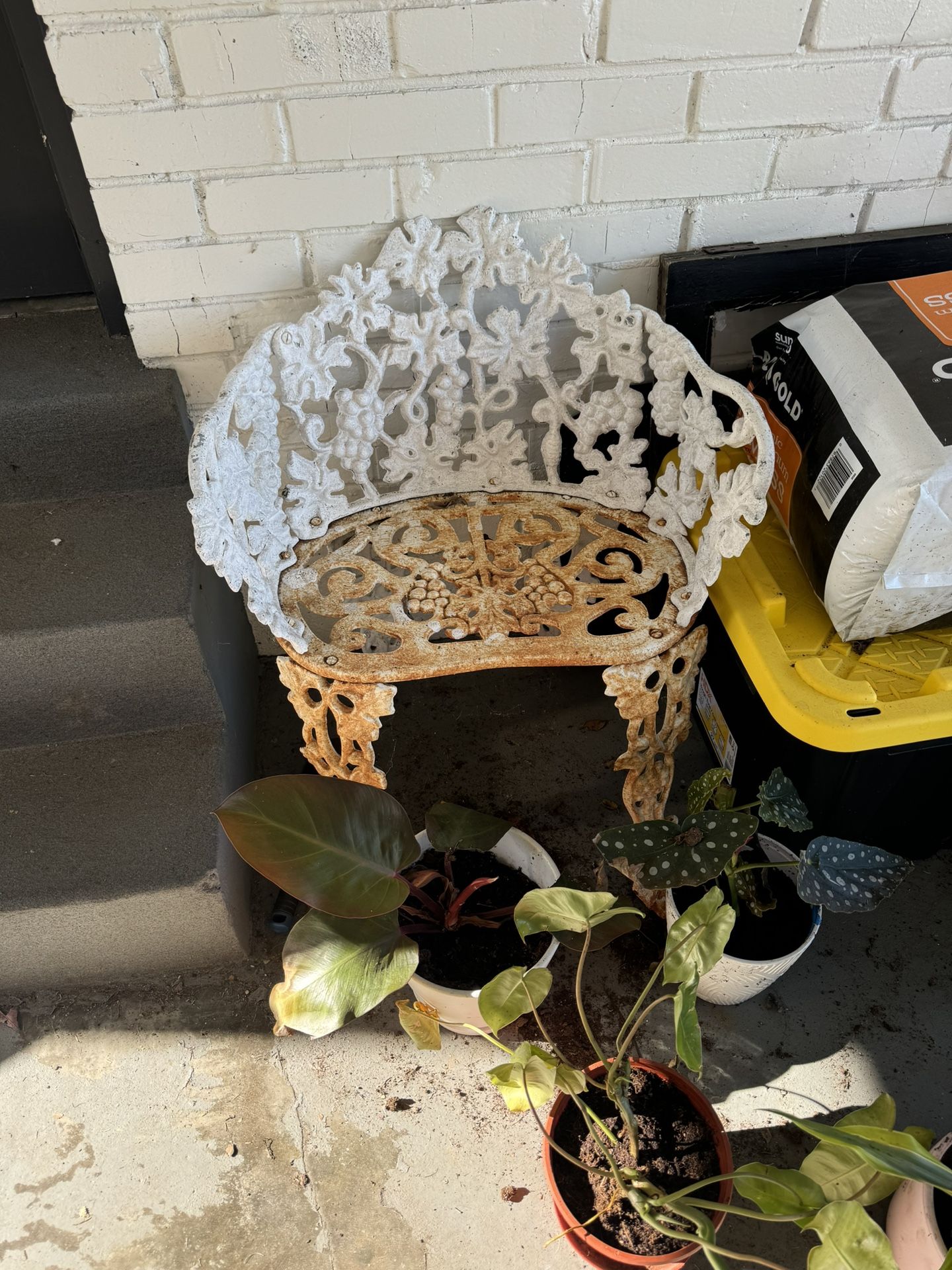 Cast Iron Chair