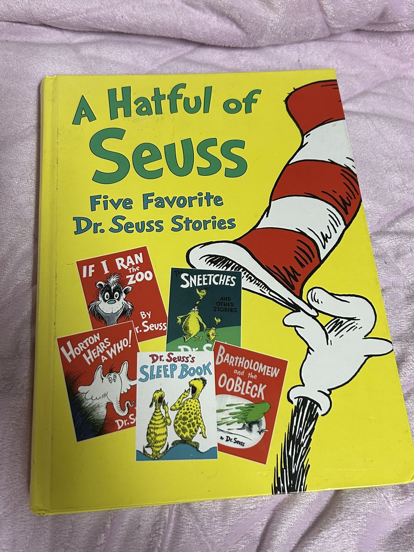 Dr Seuss Stories Book