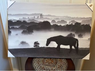 Black and white horse landscape canvas art