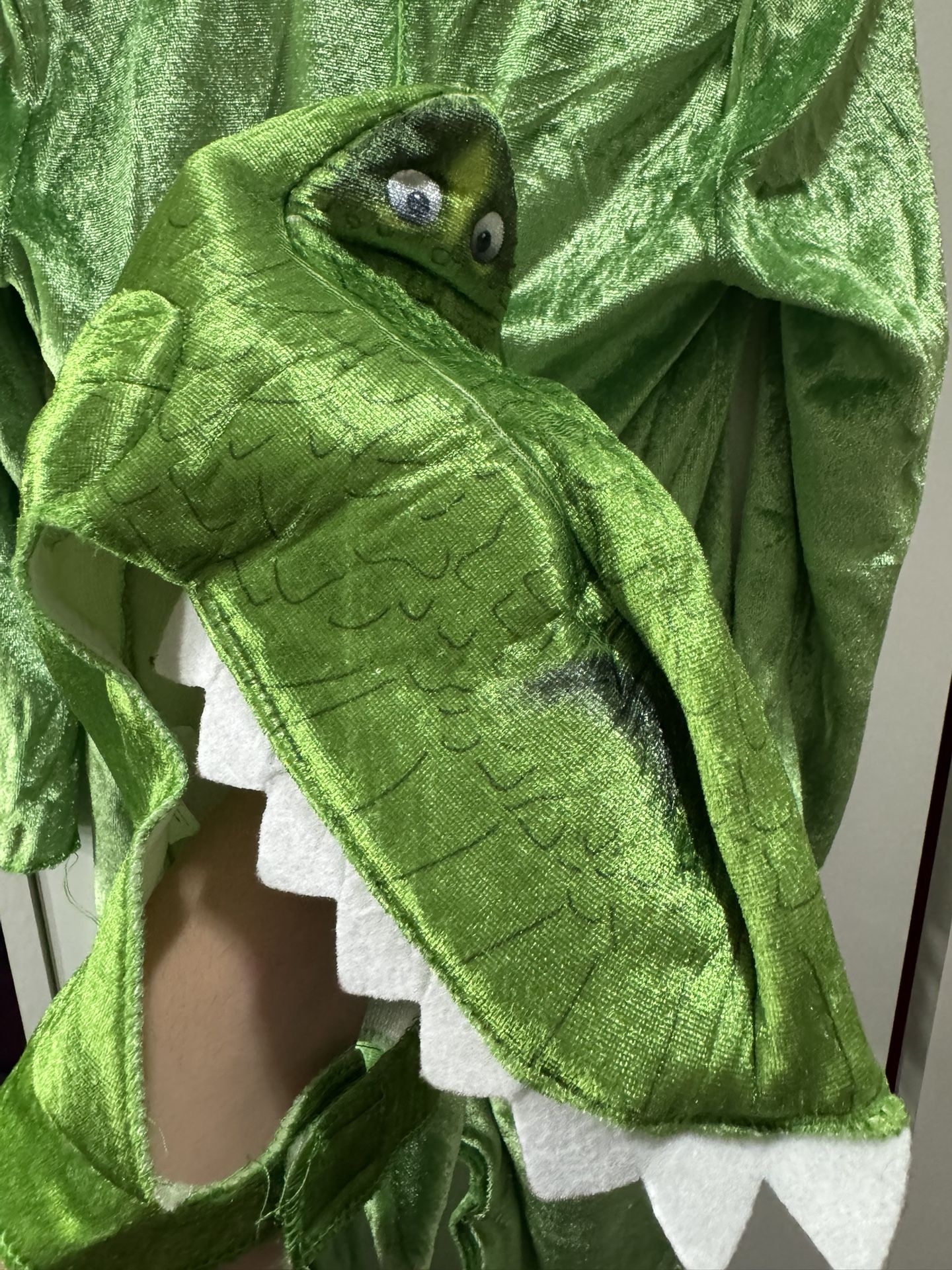 Rex Costume Toddler