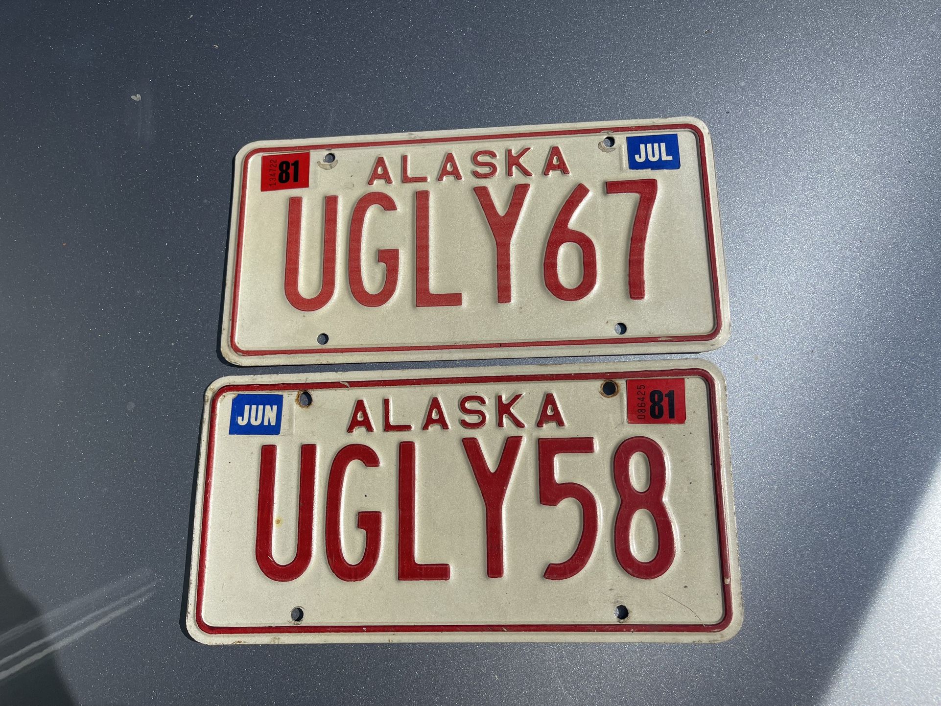 Vintage Custom Alaska License Plates