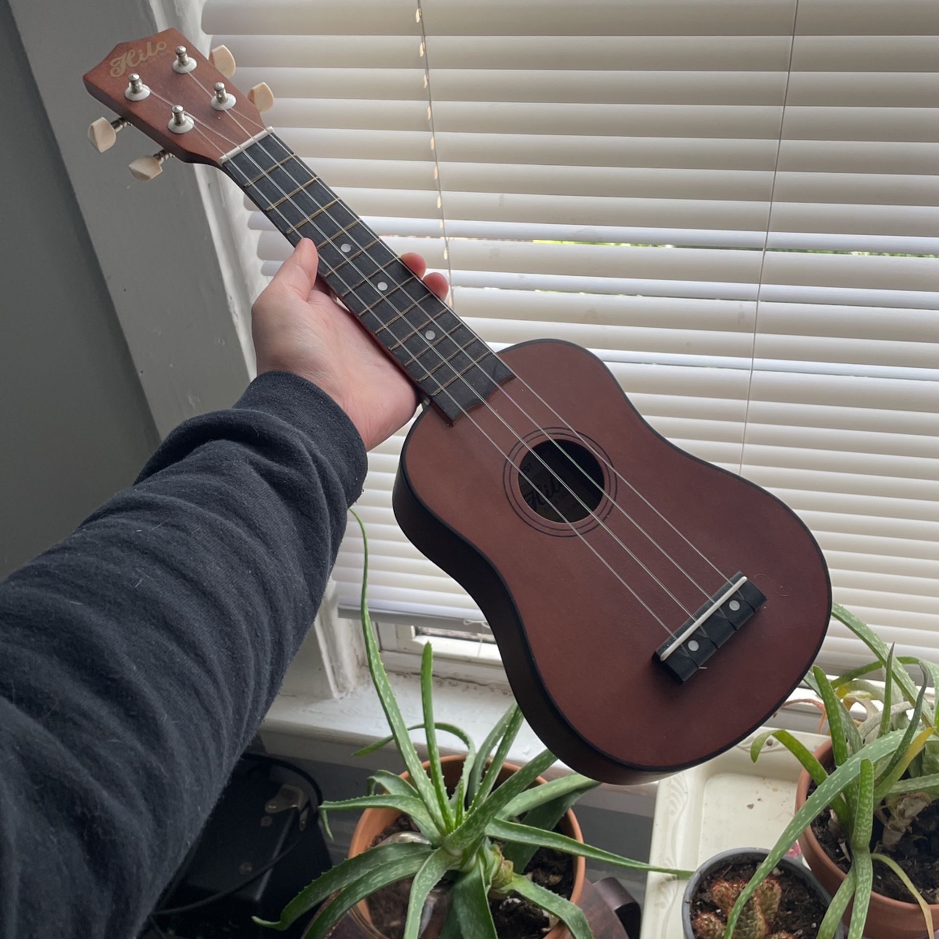 Ukulele