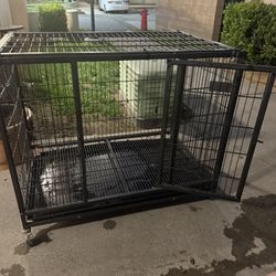 Dog Cage 