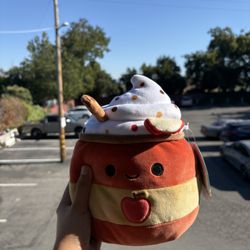 Squishmallow 