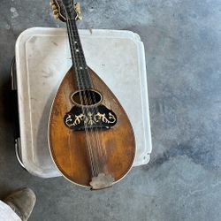 1905 Mandolin