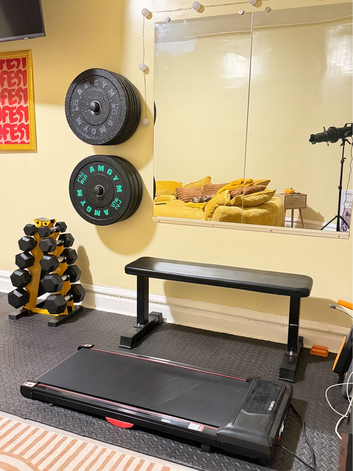 Mini at home gym
