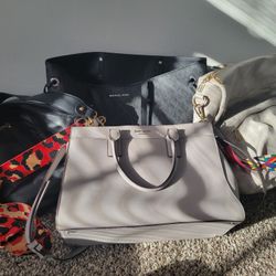 Purse Lot 