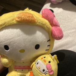 Hello kitty chicks 🐥