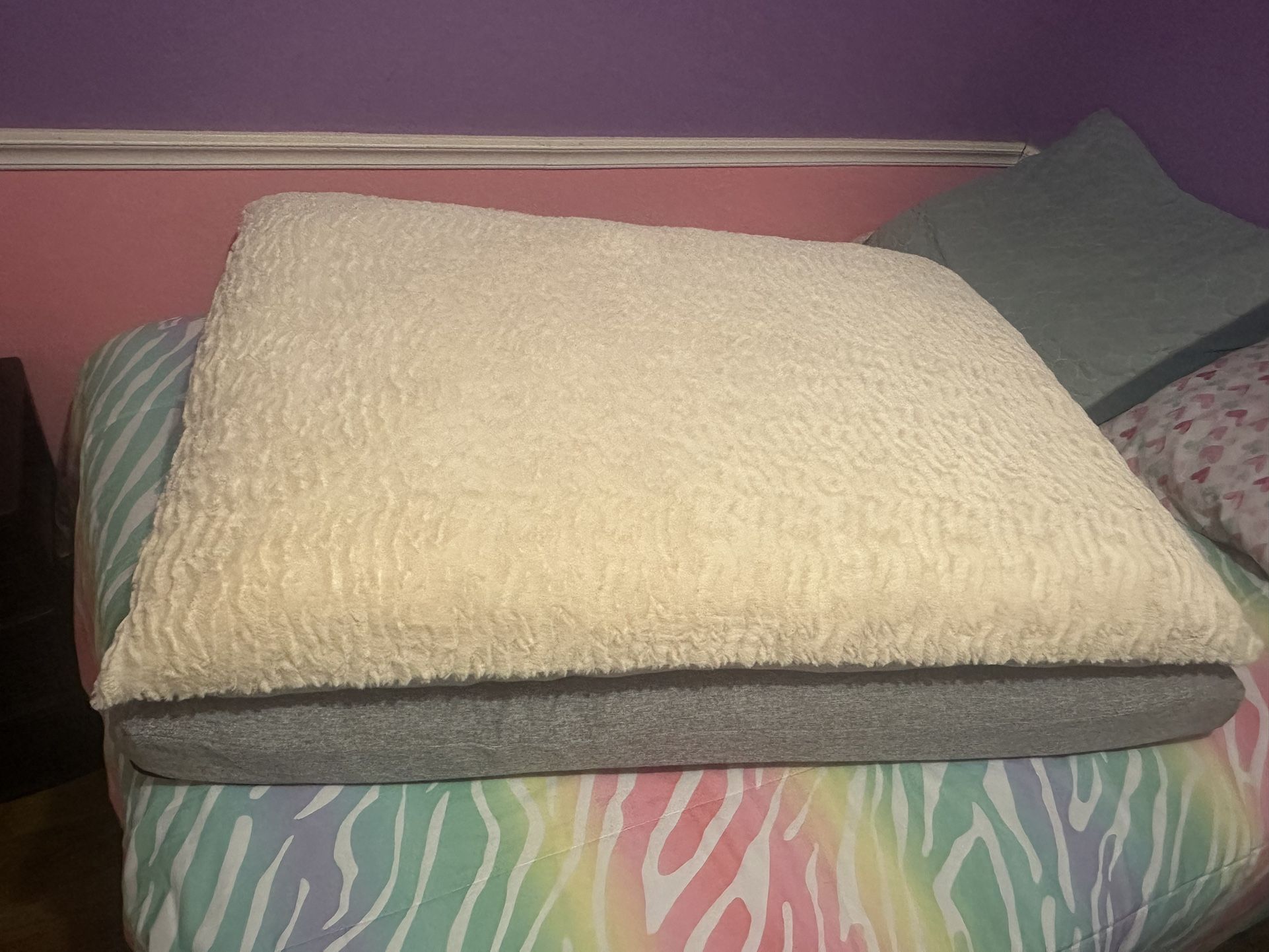 Camas Para Perros 🐶