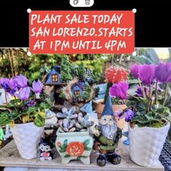 PLANT SALE TODAY SATURDAY STARTS AT 1PM