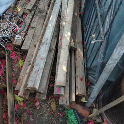 Two by four lumber free. í