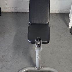 Incline Bench with (2) 40lb Dumbbells