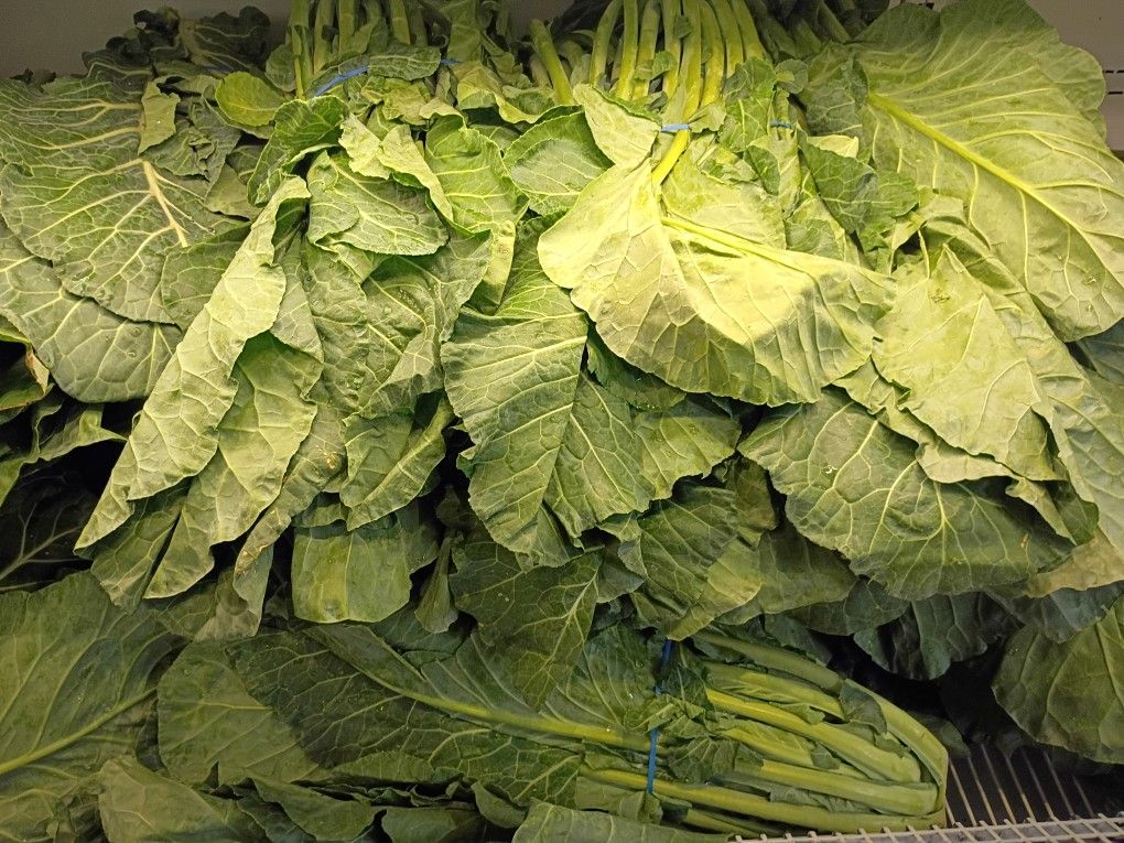 Fresh Collard Greens