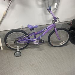 Girls 20" Bicycle Specialized