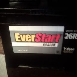 everstart Small car battery 