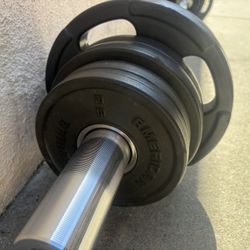 5’ Olympic curl bar with 50 pounds of American bar bell weights 