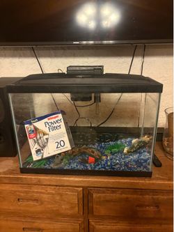 Fish Tank for low