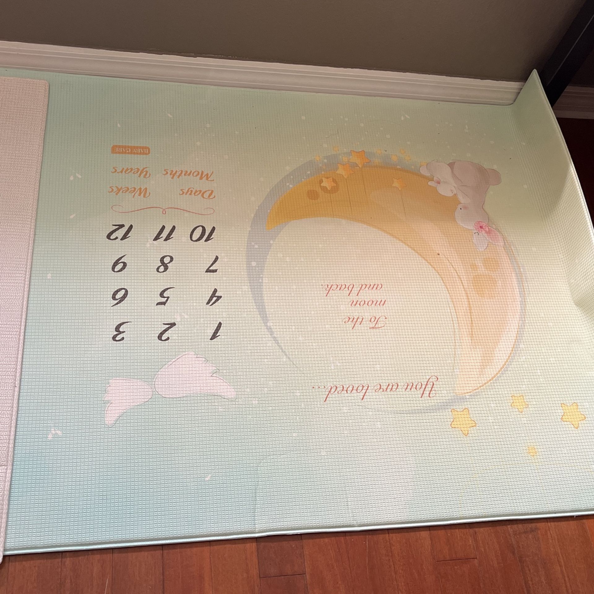Baby Milestone Mat X2