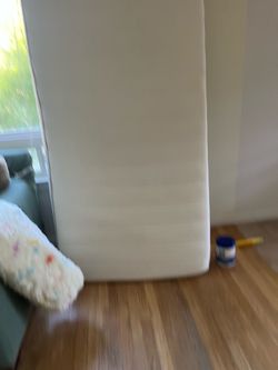 Free Twin Mattress