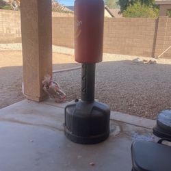 Century Punching Bag