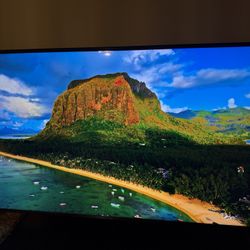 LG 2022 80 Inch 