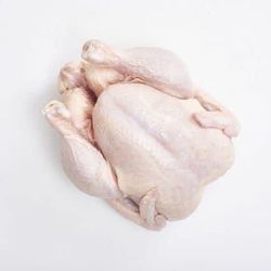 Organic Fed Farm Fresh Whole Chicken Cornish Cross Meat Chickens