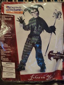 Jester Kids Costume