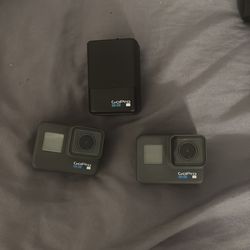 2 GoPro Hero 6’s And Battery case