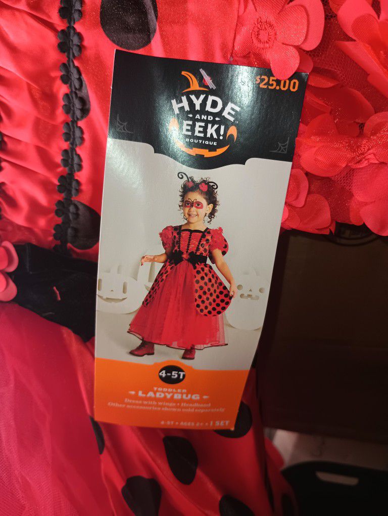 Halloween Costume (Ladybug)