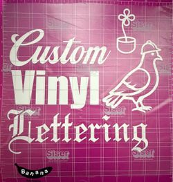 Custom Vinyl Lettering/designs