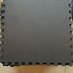 Floor Mats for Home Gym / Exercise/ Play