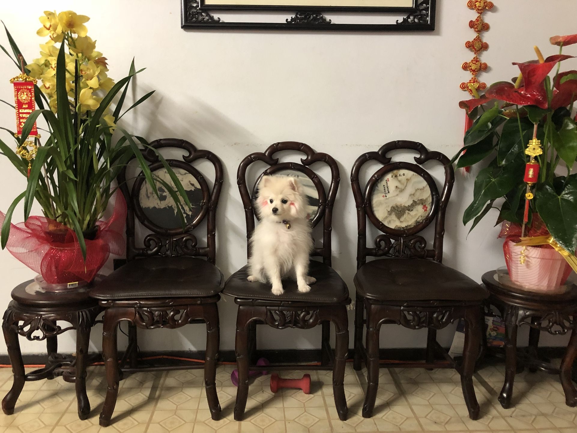 Asian Wood Chair