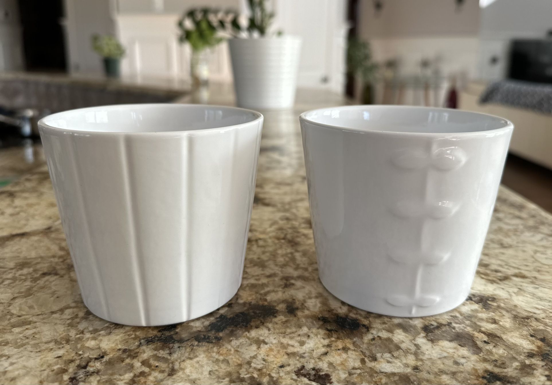 Plant Pot $5 Each 2 Available