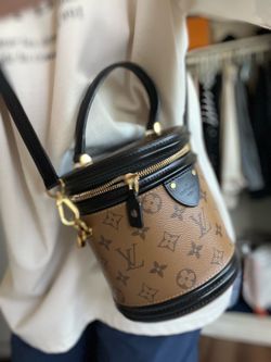 Louis Vuitton Cannes bag light used