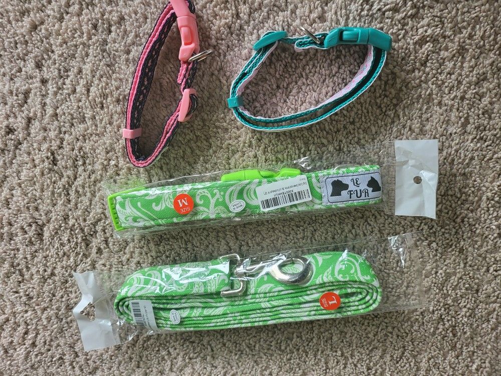 Pet Leash & Collar