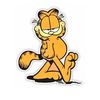 Kool Cat