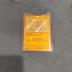 Baby Shiny Pachirisu