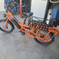 Radwagon electric bike