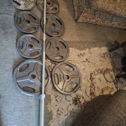 Weights And Bar.olympic T.S.A. 320 Pounds Total