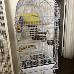Big Bird Cage 