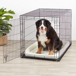 AmazonBasics Single-Door & Double-Door Folding Metal Dog or Pet Crate Kennel with Tray