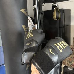 Everlast Punching Bag W/ Gloves 
