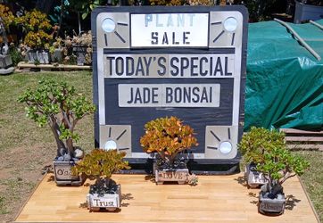 Saturday , Sunday plant sale 10 -4