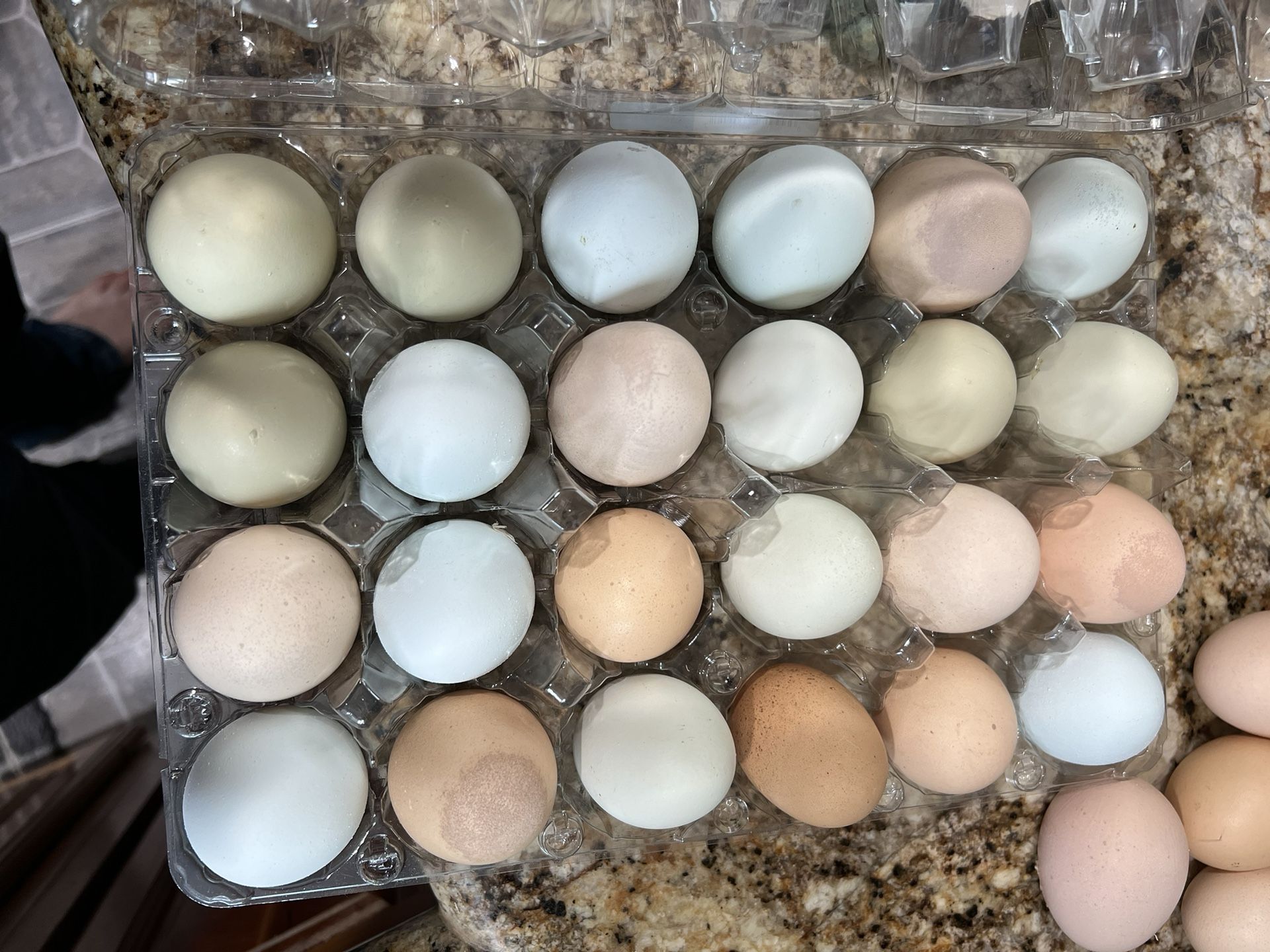 Farm Fresh Eggs