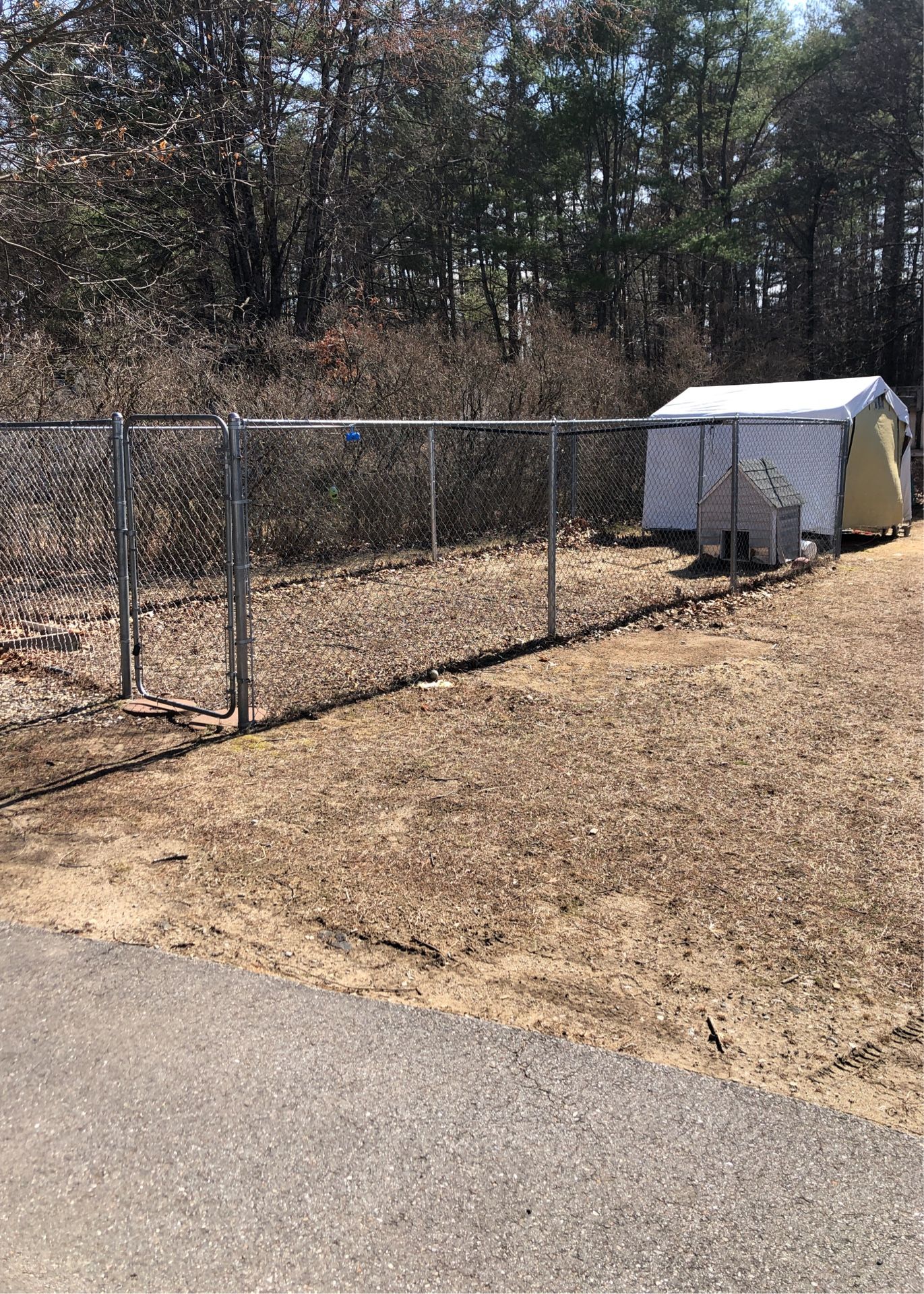 Dog Kennel 13’x30’
