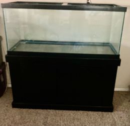 55 gallon aquarium with stand