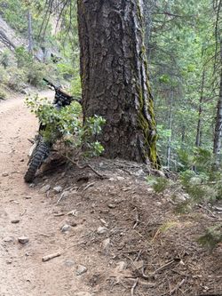 Kx450
