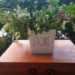 Rae Dunn Flower Pot With English Ivy